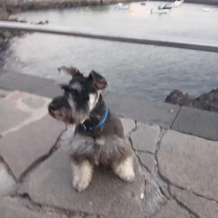 홈스테이 Surf Harbour Homestay *