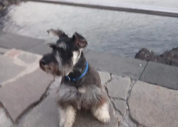 ホームステイ Surf Harbour *